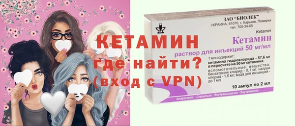 индика Бронницы